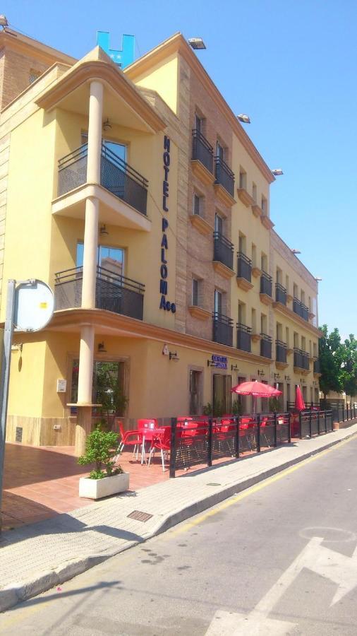 Hotel Paloma Сан-Педро-дель-Пинатар Экстерьер фото